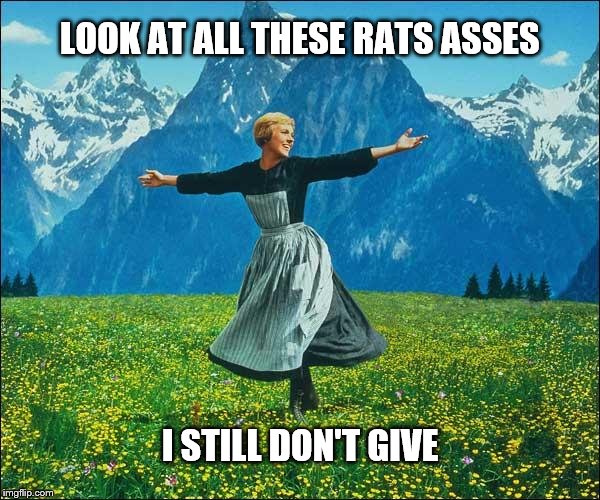 Julie Andrews | LOOK AT ALL THESE RATS ASSES I STILL DON'T GIVE | image tagged in julie andrews | made w/ Imgflip meme maker