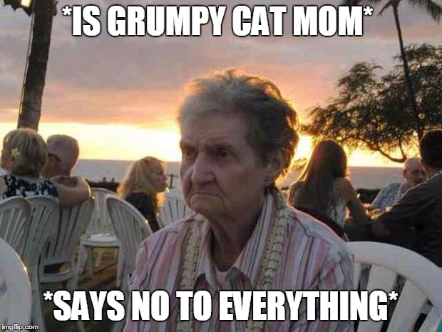 *IS GRUMPY CAT MOM* *SAYS NO TO EVERYTHING* | image tagged in angry grandma | made w/ Imgflip meme maker