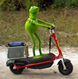 Kermit on Scooter Blank Meme Template