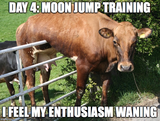 Day 4: Moon Jump Training | DAY 4: MOON JUMP TRAINING I FEEL MY ENTHUSIASM WANING | image tagged in cow,stuck,fence,moon | made w/ Imgflip meme maker