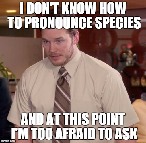 I've heard speechees and speecees and I don't know which one is the correct one. | I DON'T KNOW HOW TO PRONOUNCE SPECIES AND AT THIS POINT I'M TOO AFRAID TO ASK | image tagged in memes,afraid to ask andy | made w/ Imgflip meme maker