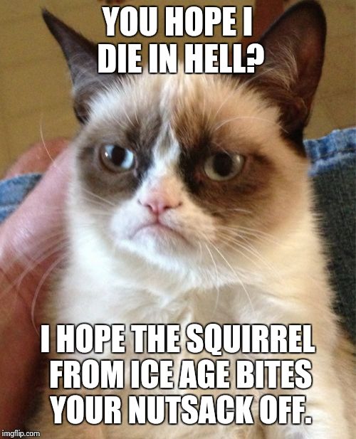 Grumpy Cat Meme | YOU HOPE I DIE IN HELL? I HOPE THE SQUIRREL FROM ICE AGE BITES YOUR NUTSACK OFF. | image tagged in memes,grumpy cat | made w/ Imgflip meme maker