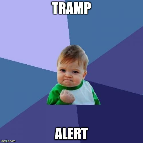 Success Kid | TRAMP ALERT | image tagged in memes,success kid | made w/ Imgflip meme maker