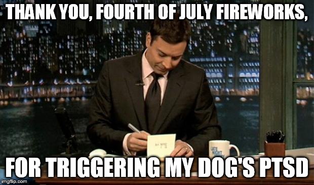 Thank you Notes Jimmy Fallon | THANK YOU, FOURTH OF JULY FIREWORKS, FOR TRIGGERING MY DOG'S PTSD | image tagged in thank you notes jimmy fallon | made w/ Imgflip meme maker
