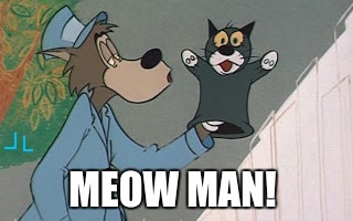 MEOW MAN! | image tagged in wolf | made w/ Imgflip meme maker