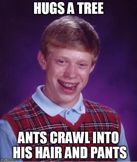 Bad Luck Brian Meme | HUGS A TREE ANTS CRAWL INTO HIS HAIR AND PANTS | image tagged in memes,bad luck brian | made w/ Imgflip meme maker