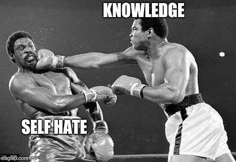 SELF HATE KNOWLEDGE | image tagged in fight,ali,knowledge,knockout,grumpy cat | made w/ Imgflip meme maker