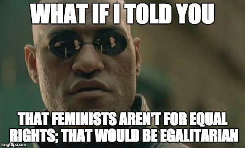 I'm gonna get hate for this. Ah well. | WHAT IF I TOLD YOU THAT FEMINISTS AREN'T FOR EQUAL RIGHTS; THAT WOULD BE EGALITARIAN | image tagged in memes,matrix morpheus,know the difference,feminism,egalitarian,nobody's going to search for these hashtags so what's the point | made w/ Imgflip meme maker