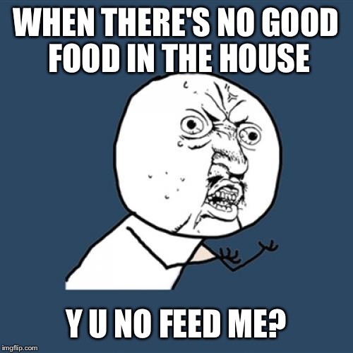 Y U No Meme | WHEN THERE'S NO GOOD FOOD IN THE HOUSE Y U NO FEED ME? | image tagged in memes,y u no | made w/ Imgflip meme maker