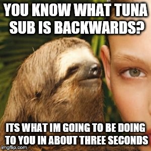 Whisper Sloth Meme | YOU KNOW WHAT TUNA SUB IS BACKWARDS? ITS WHAT IM GOING TO BE DOING TO YOU IN ABOUT THREE SECONDS | image tagged in memes,whisper sloth | made w/ Imgflip meme maker