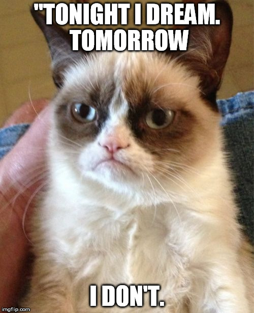 Grumpy Cat Meme | "TONIGHT I DREAM. TOMORROW I DON'T. | image tagged in memes,grumpy cat | made w/ Imgflip meme maker