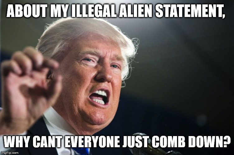 donald trump | ABOUT MY ILLEGAL ALIEN STATEMENT, WHY CANT EVERYONE JUST COMB DOWN? | image tagged in donald trump | made w/ Imgflip meme maker