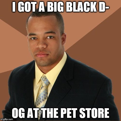 I GOT A BIG BLACK D- OG AT THE PET STORE | image tagged in successful black man,black people,memes,funny,racist | made w/ Imgflip meme maker