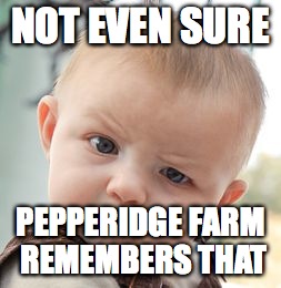 Skeptical Baby Meme | NOT EVEN SURE PEPPERIDGE FARM REMEMBERS THAT | image tagged in memes,skeptical baby | made w/ Imgflip meme maker