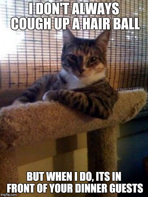 The Most Interesting Cat In The World | I DON'T ALWAYS COUGH UP A HAIR BALL BUT WHEN I DO, ITS IN FRONT OF YOUR DINNER GUESTS | image tagged in memes,the most interesting cat in the world | made w/ Imgflip meme maker