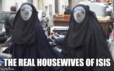 Coming This Fall To ABC | THE REAL HOUSEWIVES OF ISIS | image tagged in memes | made w/ Imgflip meme maker