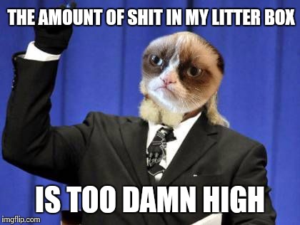 Our Cat Said This Last Night | THE AMOUNT OF SHIT IN MY LITTER BOX IS TOO DAMN HIGH | image tagged in memes,too damn high | made w/ Imgflip meme maker