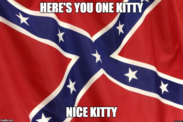 HERE'S YOU ONE KITTY NICE KITTY | made w/ Imgflip meme maker