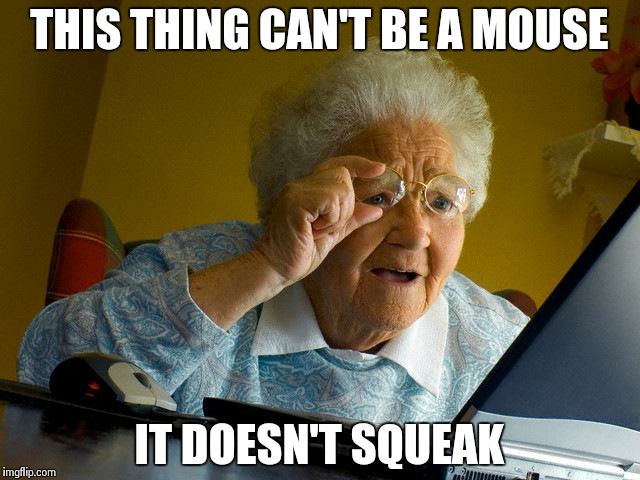 Grandma Finds The Internet Meme | THIS THING CAN'T BE A MOUSE IT DOESN'T SQUEAK | image tagged in memes,grandma finds the internet | made w/ Imgflip meme maker