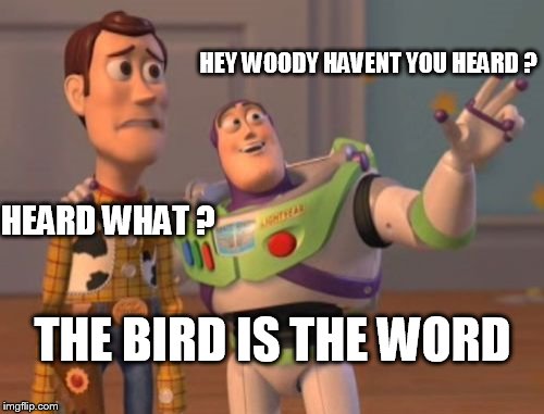 the bird is the word  :D  | HEY WOODY HAVENT YOU HEARD ? HEARD WHAT ? THE BIRD IS THE WORD | image tagged in memes,x x everywhere | made w/ Imgflip meme maker
