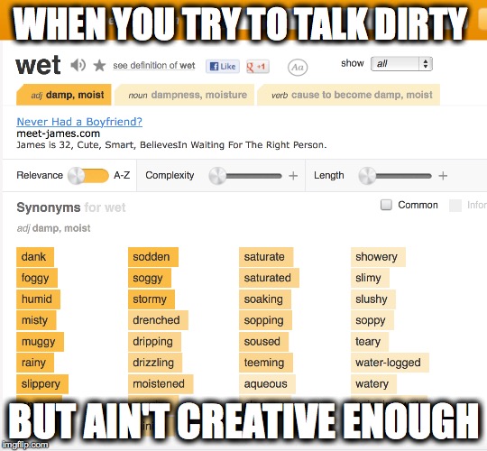 WHEN TRYING TO TALK DIRTY | WHEN YOU TRY TO TALK DIRTY BUT AIN'T CREATIVE ENOUGH | image tagged in real nerd girl problems,girl problems,the struggle,trying to flirt,dirty talk,relatable | made w/ Imgflip meme maker