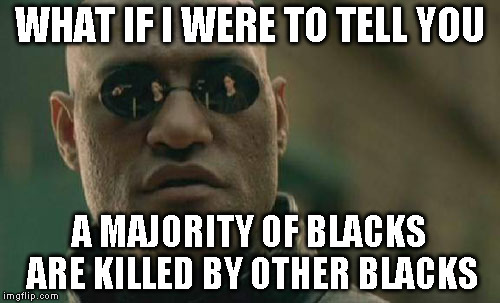 Matrix Morpheus Meme | WHAT IF I WERE TO TELL YOU A MAJORITY OF BLACKS ARE KILLED BY OTHER BLACKS | image tagged in memes,matrix morpheus | made w/ Imgflip meme maker