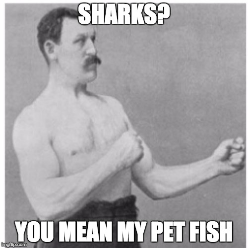 Overly Manly Man | SHARKS? YOU MEAN MY PET FISH | image tagged in memes,overly manly man | made w/ Imgflip meme maker