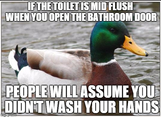 Actual Advice Mallard | IF THE TOILET IS MID FLUSH WHEN YOU OPEN THE BATHROOM DOOR PEOPLE WILL ASSUME YOU DIDN'T WASH YOUR HANDS | image tagged in memes,actual advice mallard,AdviceAnimals | made w/ Imgflip meme maker