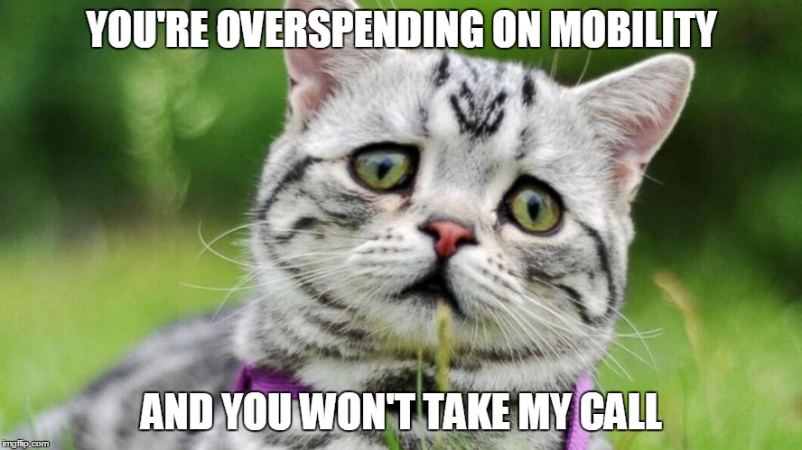 YOU'RE OVERSPENDING ON MOBILITY AND YOU WON'T TAKE MY CALL | image tagged in sad cat | made w/ Imgflip meme maker