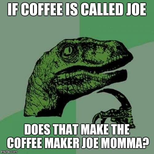 Philosoraptor | IF COFFEE IS CALLED JOE DOES THAT MAKE THE COFFEE MAKER JOE MOMMA? | image tagged in memes,philosoraptor | made w/ Imgflip meme maker