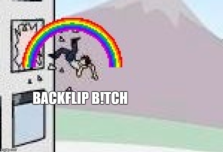 BACKFLIP B!TCH | made w/ Imgflip meme maker