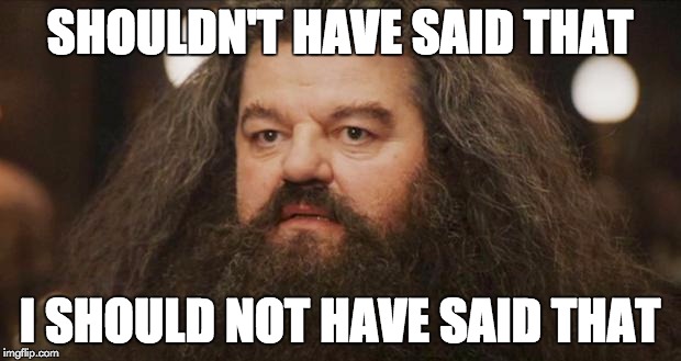 Hagrid | SHOULDN'T HAVE SAID THAT I SHOULD NOT HAVE SAID THAT | image tagged in hagrid,AdviceAnimals | made w/ Imgflip meme maker