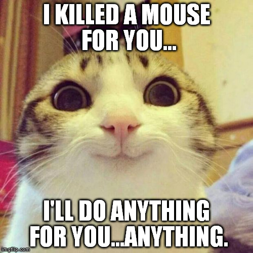 Smiling Cat Meme | I KILLED A MOUSE FOR YOU... I'LL DO ANYTHING FOR YOU...ANYTHING. | image tagged in memes,smiling cat | made w/ Imgflip meme maker