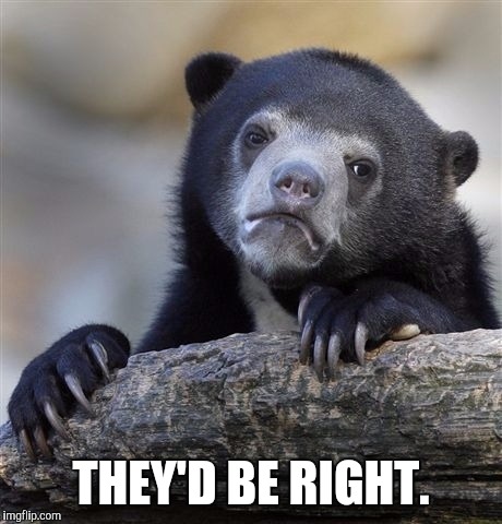 Confession Bear Meme | THEY'D BE RIGHT. | image tagged in memes,confession bear | made w/ Imgflip meme maker