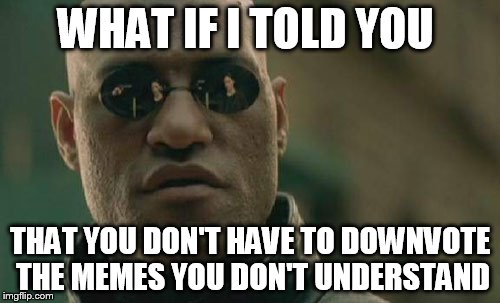 Matrix Morpheus Meme | WHAT IF I TOLD YOU THAT YOU DON'T HAVE TO DOWNVOTE THE MEMES YOU DON'T UNDERSTAND | image tagged in memes,matrix morpheus | made w/ Imgflip meme maker