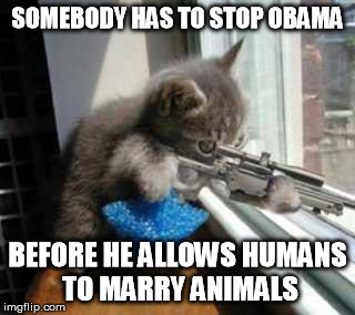 CatSniper | SOMEBODY HAS TO STOP OBAMA BEFORE HE ALLOWS HUMANS TO MARRY ANIMALS | image tagged in catsniper | made w/ Imgflip meme maker