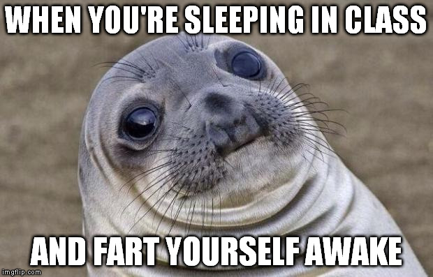 Awkward Moment Sealion | WHEN YOU'RE SLEEPING IN CLASS AND FART YOURSELF AWAKE | image tagged in memes,awkward moment sealion | made w/ Imgflip meme maker