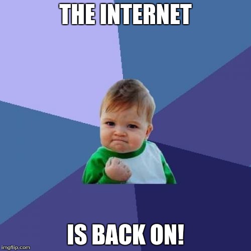 Success Kid | THE INTERNET IS BACK ON! | image tagged in memes,success kid | made w/ Imgflip meme maker