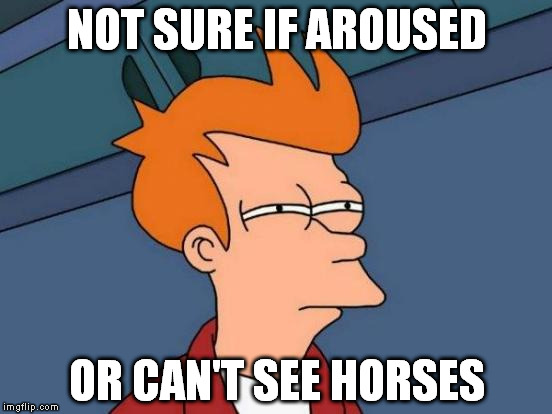 Futurama Fry Meme | NOT SURE IF AROUSED OR CAN'T SEE HORSES | image tagged in memes,futurama fry | made w/ Imgflip meme maker
