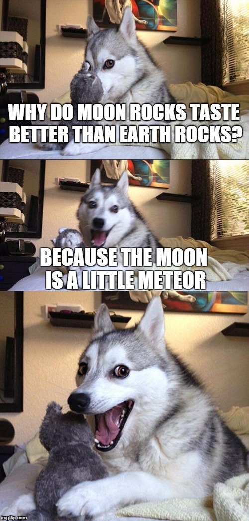 Bad Pun Dog Meme | WHY DO MOON ROCKS TASTE BETTER THAN EARTH ROCKS? BECAUSE THE MOON IS A LITTLE METEOR | image tagged in memes,bad pun dog | made w/ Imgflip meme maker