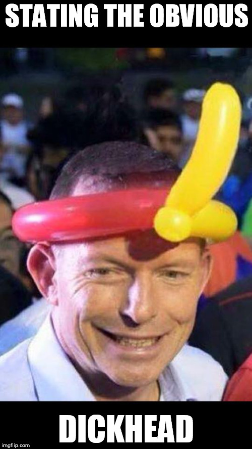stating the obvious | STATING THE OBVIOUS DICKHEAD | image tagged in tony abbott | made w/ Imgflip meme maker