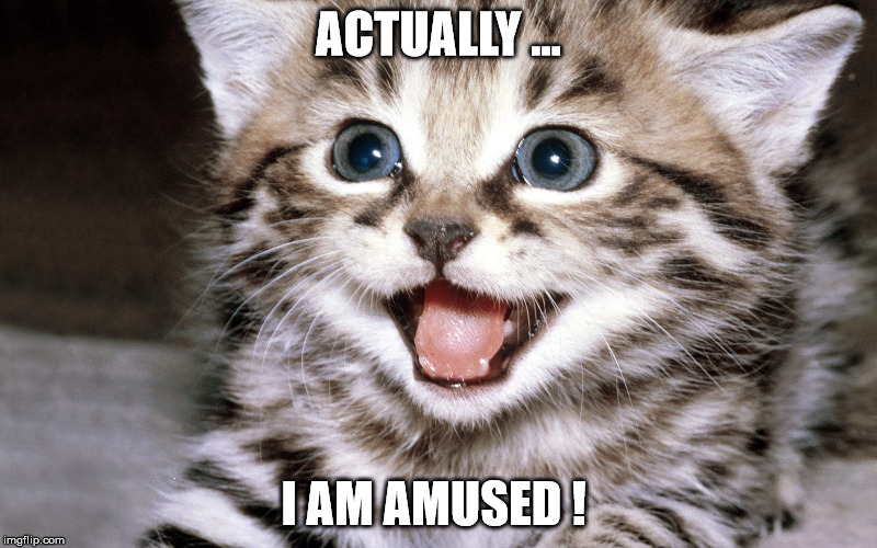 ACTUALLY ... I AM AMUSED ! | made w/ Imgflip meme maker