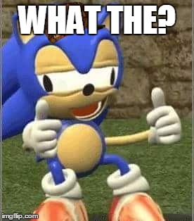 Drunk Sonic | WHAT THE? | image tagged in drunk sonic,scumbag | made w/ Imgflip meme maker