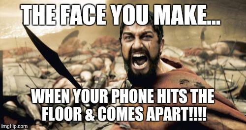 Sparta Leonidas | THE FACE YOU MAKE... WHEN YOUR PHONE HITS THE FLOOR & COMES APART!!!! | image tagged in memes,sparta leonidas | made w/ Imgflip meme maker