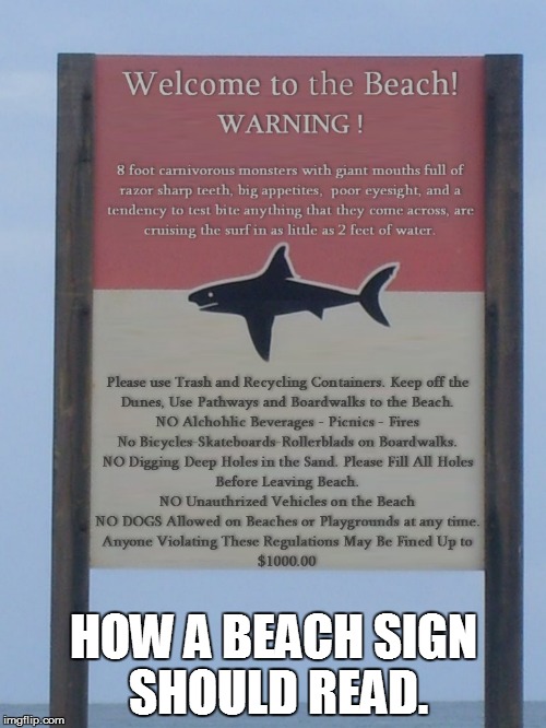 It's Shark Week! | HOW A BEACH SIGN SHOULD READ. | image tagged in shark week,shark attack,shark,beach,memes | made w/ Imgflip meme maker