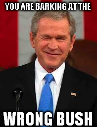 George Bush | YOU ARE BARKING AT THE WRONG BUSH | image tagged in memes,george bush | made w/ Imgflip meme maker