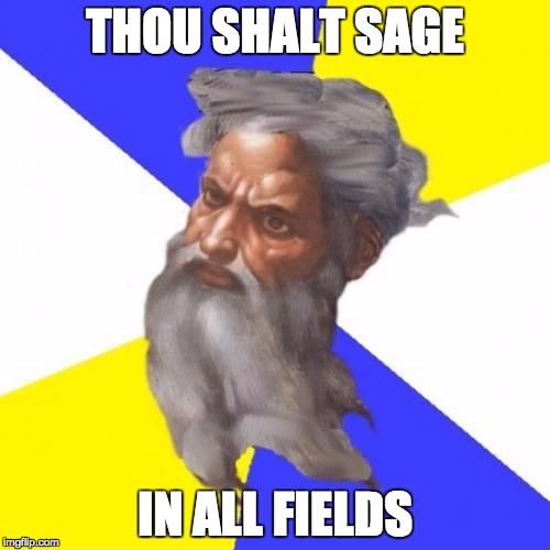 Advice God | THOU SHALT SAGE IN ALL FIELDS | image tagged in memes,advice god | made w/ Imgflip meme maker