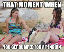 THAT MOMENT WHEN YOU GET DUMPED FOR A PENGUIN | image tagged in d | made w/ Imgflip meme maker