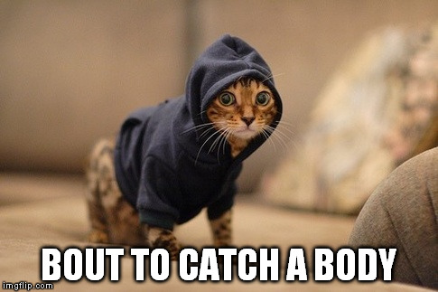 Hoody Cat | BOUT TO CATCH A BODY | image tagged in memes,hoody cat | made w/ Imgflip meme maker
