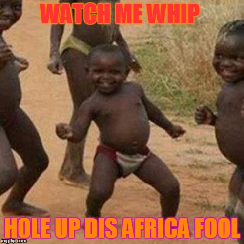 Third World Success Kid | WATCH ME WHIP HOLE UP DIS AFRICA FOOL | image tagged in memes,third world success kid | made w/ Imgflip meme maker